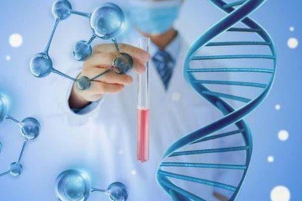 美国试管婴儿的遗传病筛查：如何确保宝宝健康？